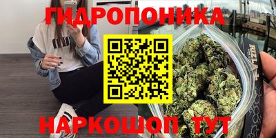 jwh Аргун