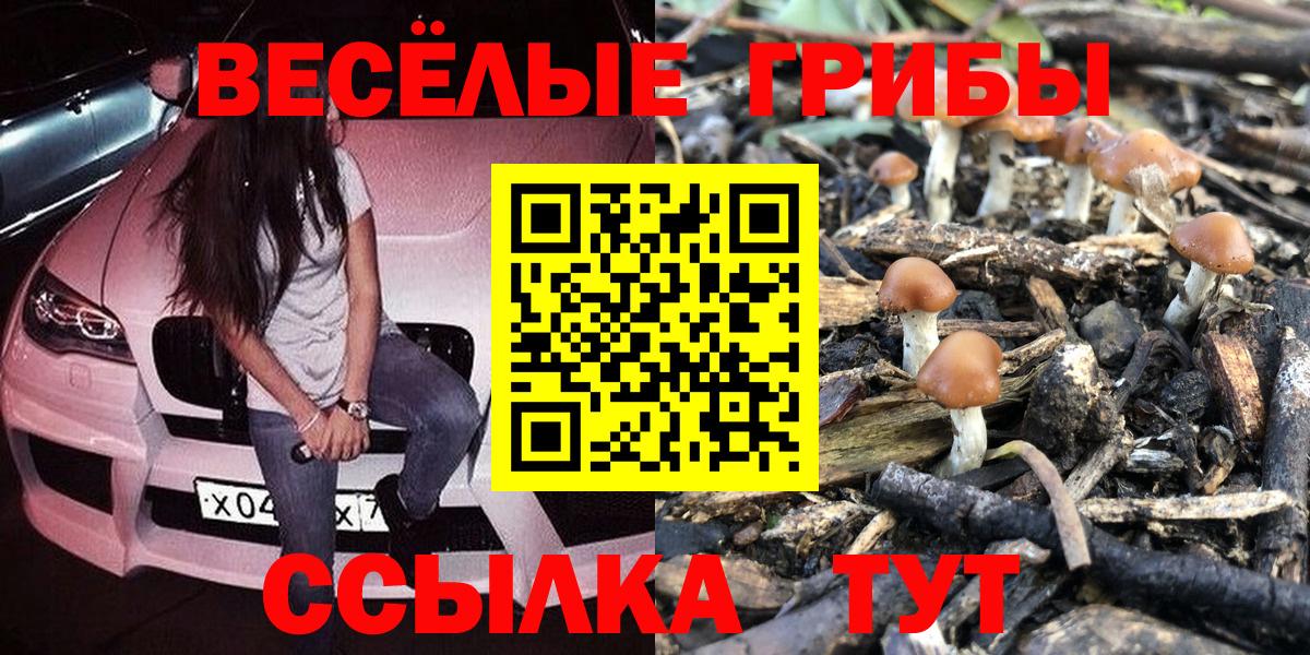 Галлюциногенные грибы Psilocybine cubensis  Вход с VPN  Всеволожск 