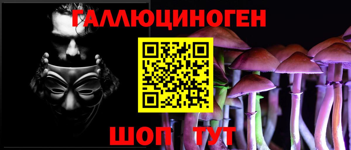 Псилоцибиновые грибы прущие грибы Всеволожск